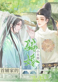 首辅家的骗婚小夫郎首辅家的骗婚小夫郎